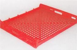 6 Reasons Why You Should Choose a Plastic Bakery Tray