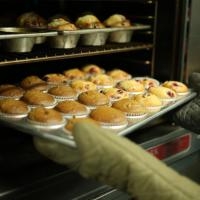Why is D & V a Reputed Bakery Supply Manufacturer in Toronto